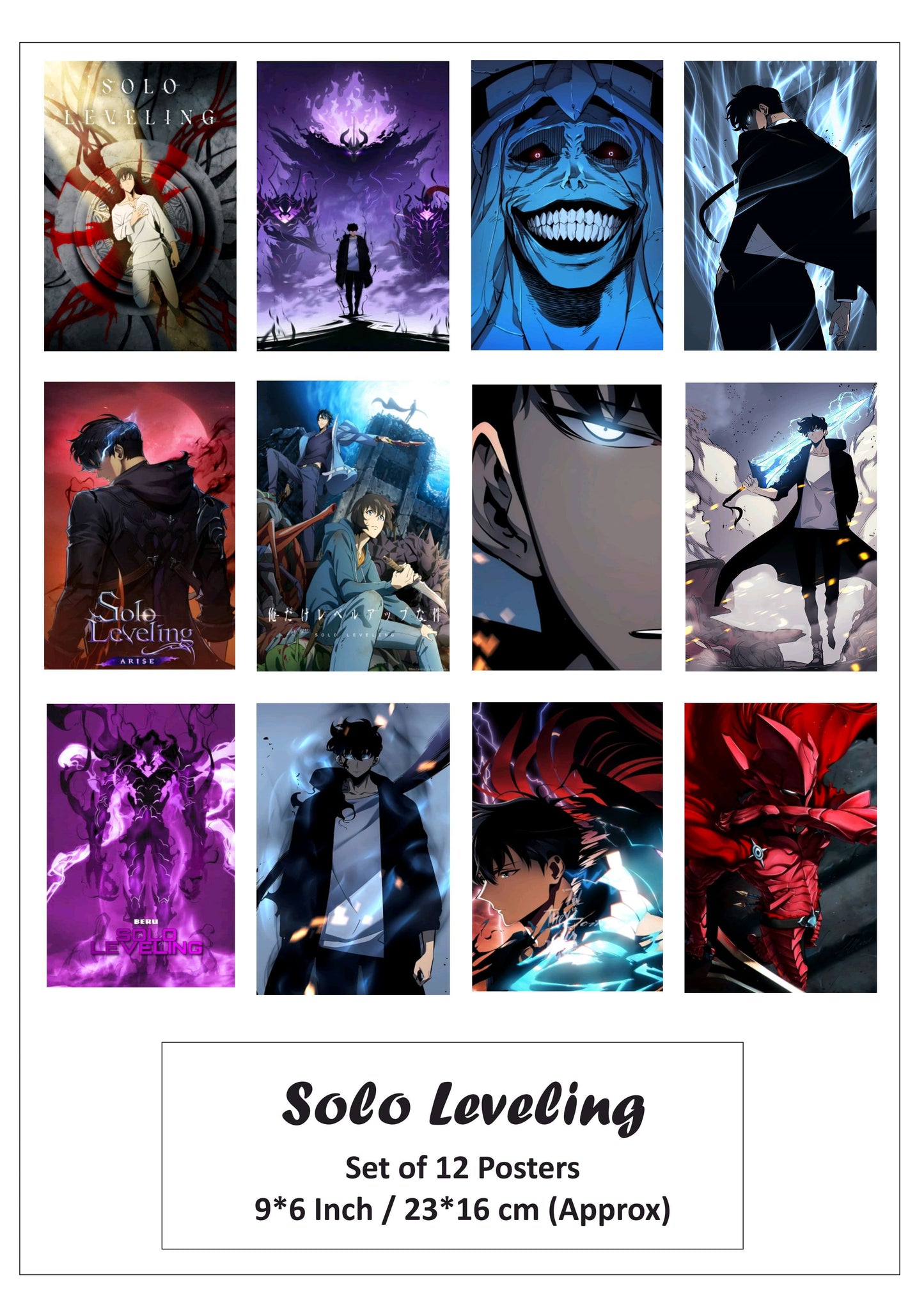 Solo Leveling small size paper poster pack of 12 (eff price 68/pkt) Pack of 3 packet
