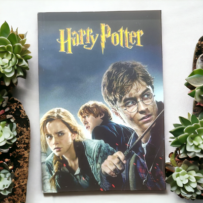 Set of 2 HP magic boy ovaku diary