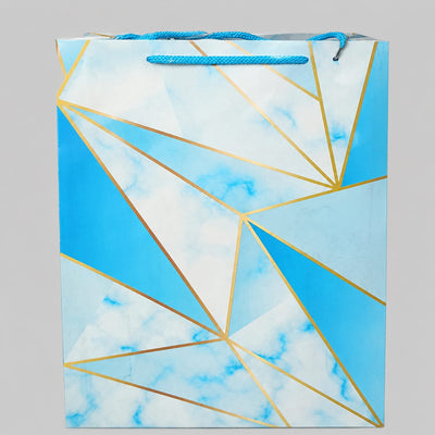K13 medium size paper gift bags (Pack of 12)
