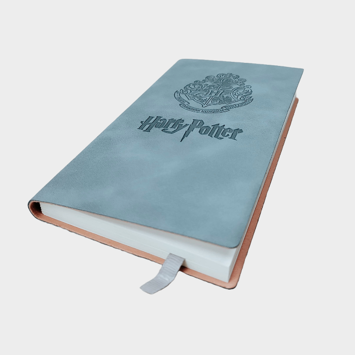 Hp (Magic boy) Hari Slim Diary (Mix Colour)