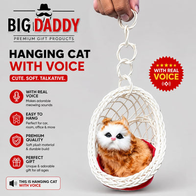 Basket cat with voice Mix colour pack of 3 ( net price 130 )