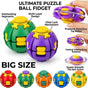 6pcs - Large Viral Rotating ball fidget nert price 65