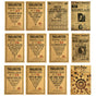20pcs - Hp (magic Boy) Mix Posters C Net price 22 (random)