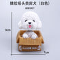 white lucky dog