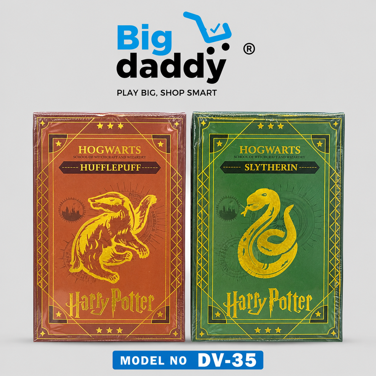 Hogwart Magic boy Mix house diary Dv35