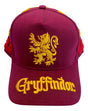 Hp (magic Boy) grey-fidor cap