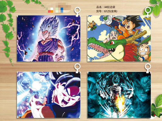 12pcs - DBZ A4 file pouch Net price 22