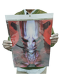 Bleech 3d poster pack of 2 ( eff price 90)