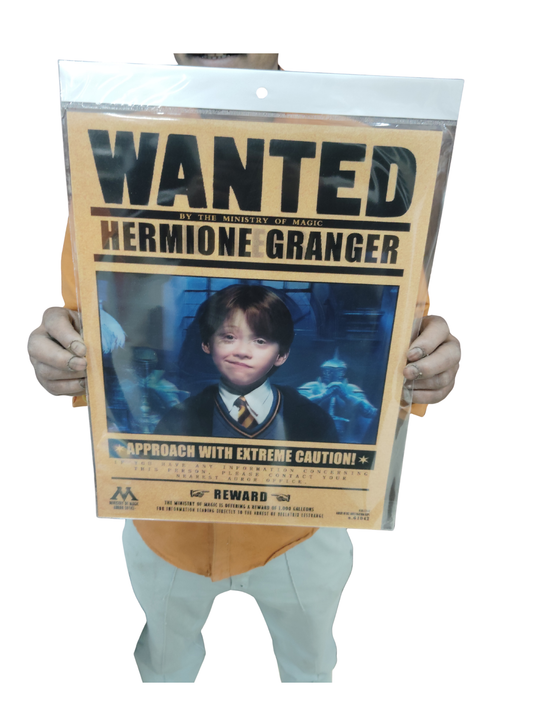 Wanted hermoine 3d poster pack of 2 ( eff price 90)