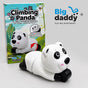 Pack of 6 panda scrolling toy with box packing (net price 105)