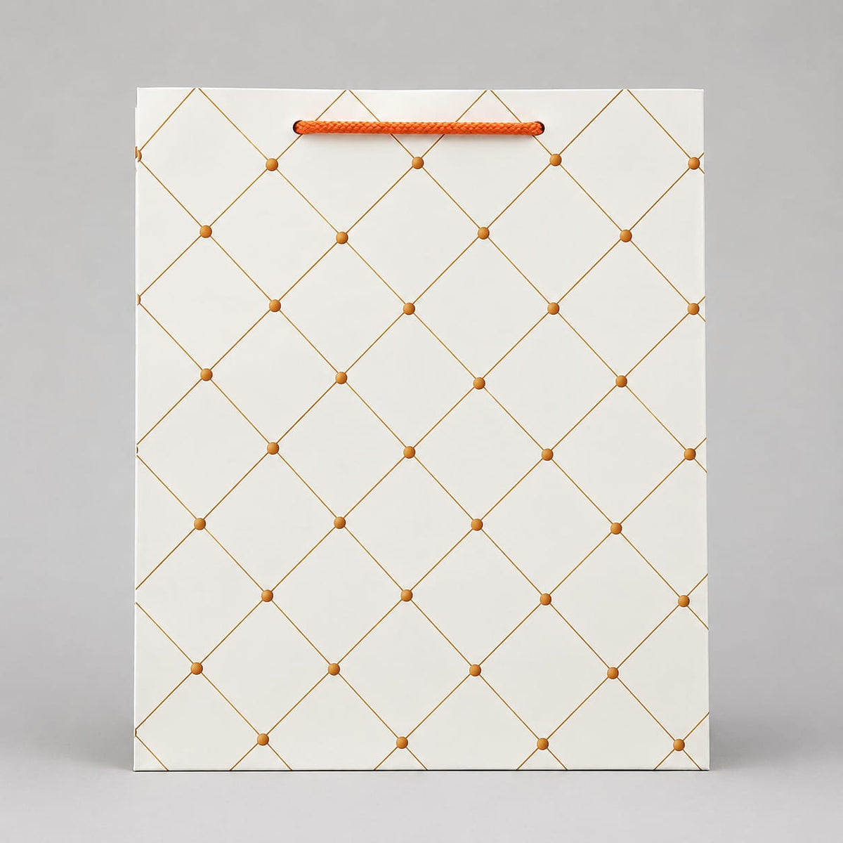 K12 medium size paper gift bags (Pack of 12)