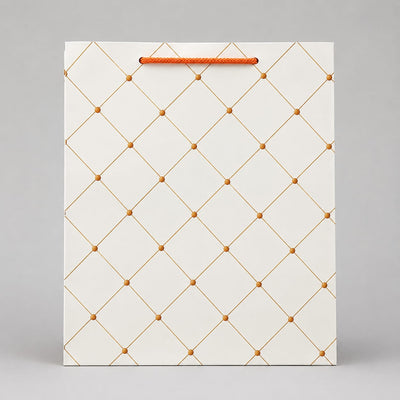 K12 medium size paper gift bags (Pack of 12)