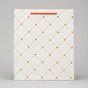 K12 medium size paper gift bags (Pack of 12)