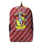 Magic Boy HP Bag school greyfindor