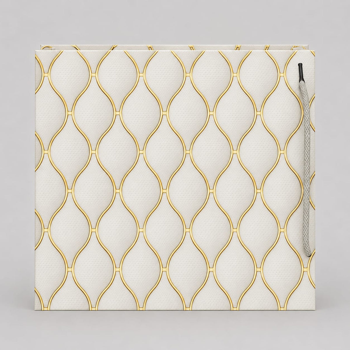 S8 Large size paper gift bags (Pack of 12)