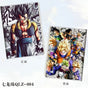 Set of 2 DBZ ovaku diary