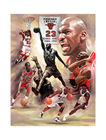 Chicago Bulls Michael Jordan 3d Poster