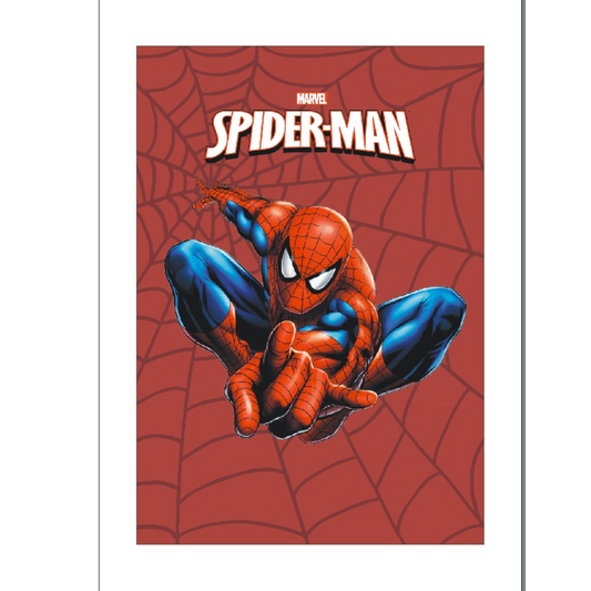 Spiderman Diary a5 200 pages (imported)