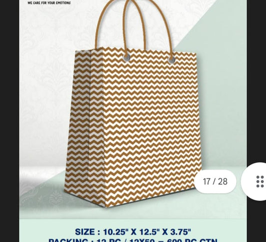 Medium size Paper gift bag ( Pack of 12 )