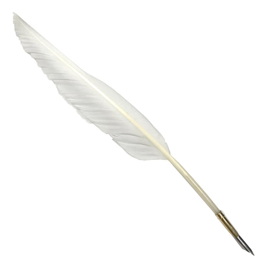 Set of 12 Feather Pens (eff price 15)