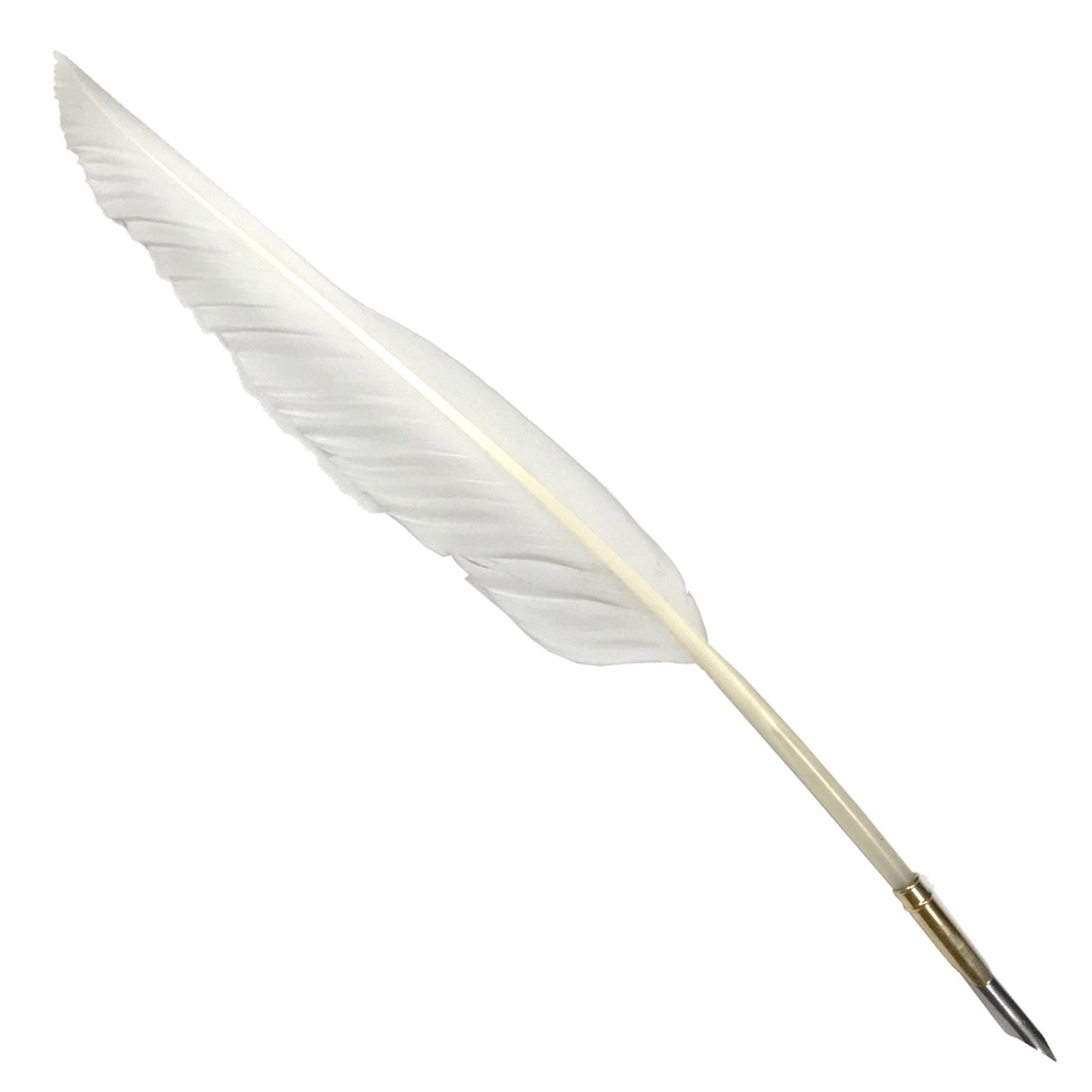 Set of 12 Feather Pens (eff price 15)