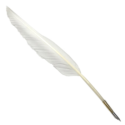 Set of 12 Feather Pens (eff price 15)